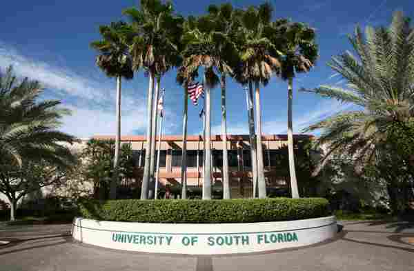 University of South Florida
