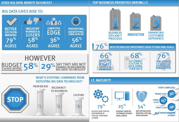 emc,big data, survey