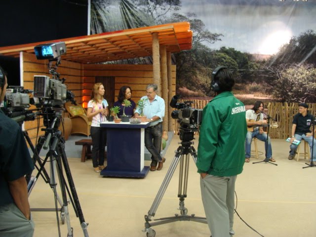 TV Diário