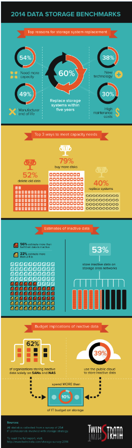 TwinStrata,Infrequently Accessed Data