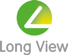 Long View Systems Corporation
