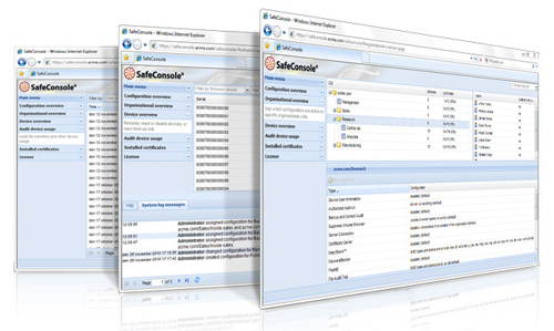 SAfeControl_audit-img