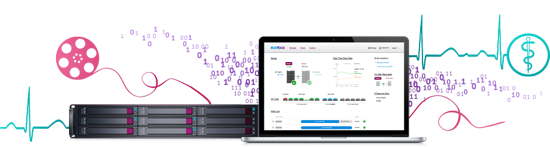 RAIDIX_SOFTWARE