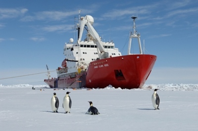 British Antarctic Survey