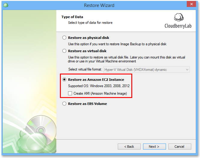 CLOUBERRY_EC2_restore_as_ec2_options