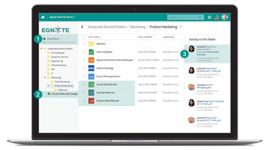 EGNYTE_product