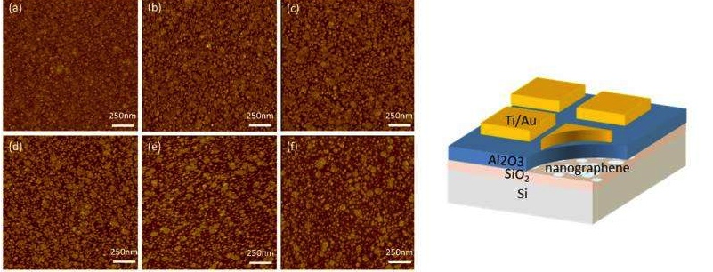 Nanographene