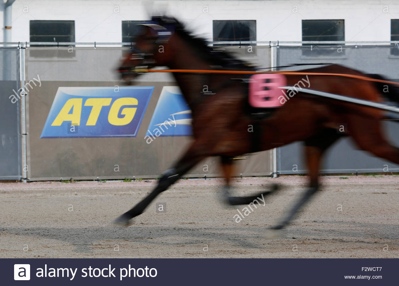 ATG