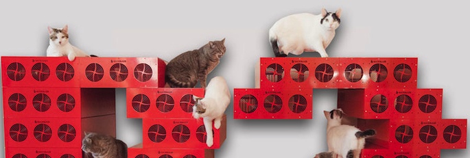 Backblaze,Catblaze Cloud Backup f1
