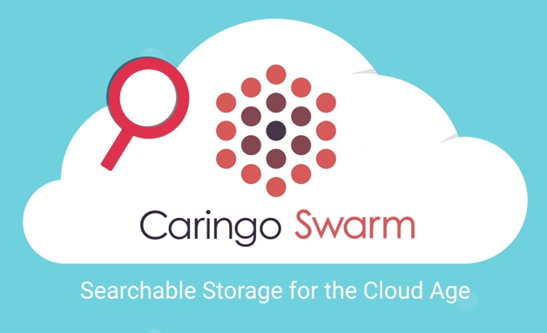 CARINGO_SWARM_2