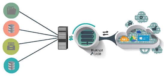 PARA_BLU_BluVault-for-Server_V1