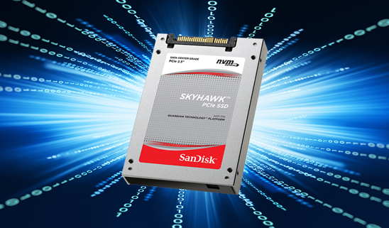 WDC_SANDISK_SSD_skyhawk6a