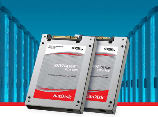 WDC_SANDISK_Skyhawk-Series-NVMe-PCIe-SSD