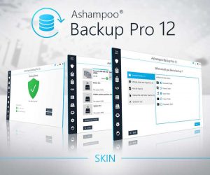 ashampoo backup pro 12 software skin 1808SN