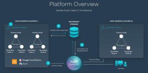 Rubrik DATOS IO 