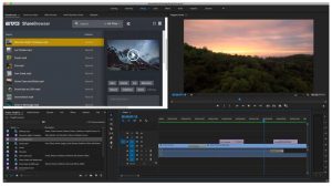 SNS sharebrowser-for-premiere-pro-panel