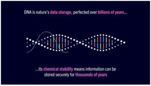 DNA storage