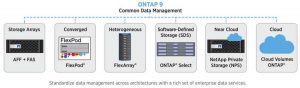 Netapp Ontap 