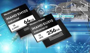 WDC industrial-inand WDC industrial-inand