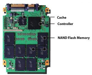 Backblaze Ssd F1