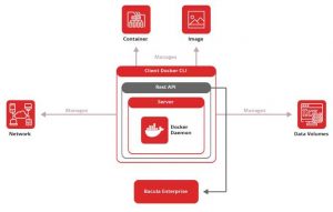 Bacula Docker Api