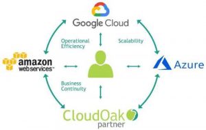 Cloudoak Flux Capacitor2