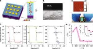 Sandip Mondal & V. Venkataraman Nature Communications