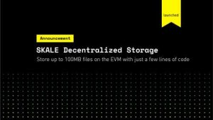 Skale Storage Skale Storage Scheme