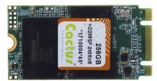 Cactus Ssd Speicher