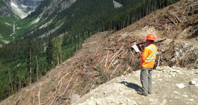 British Columbia Forest Practices Board Chooses Veeam