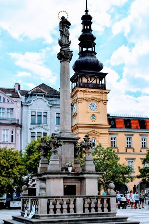 Proact Assists Ostrava South City District