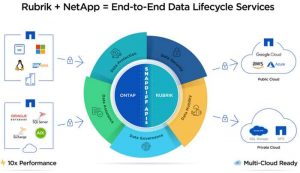 Rubrik+netapp Scheme