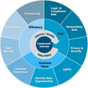 Commvault Activate Scheme