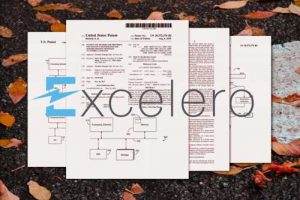 Excelero Patent