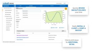 Cobalt Iron Web Interface