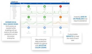 Cobalt Iron Web Interface