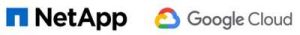 Netapp Google Cloud Logos