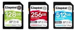Kingston Sdcard Ces19
