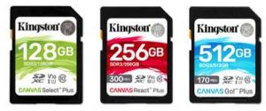 Kingston Sdcard Ces19