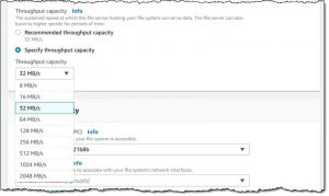 Aws Fsx Pick Throughput 1