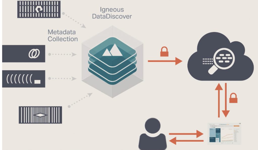 Igneous Datadiscovery