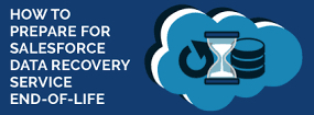 Salesforce Data Recovery Service