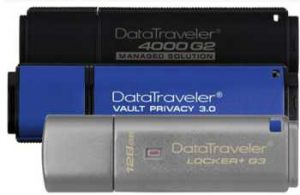 Kingston Datatraveler 3 Usb Keys