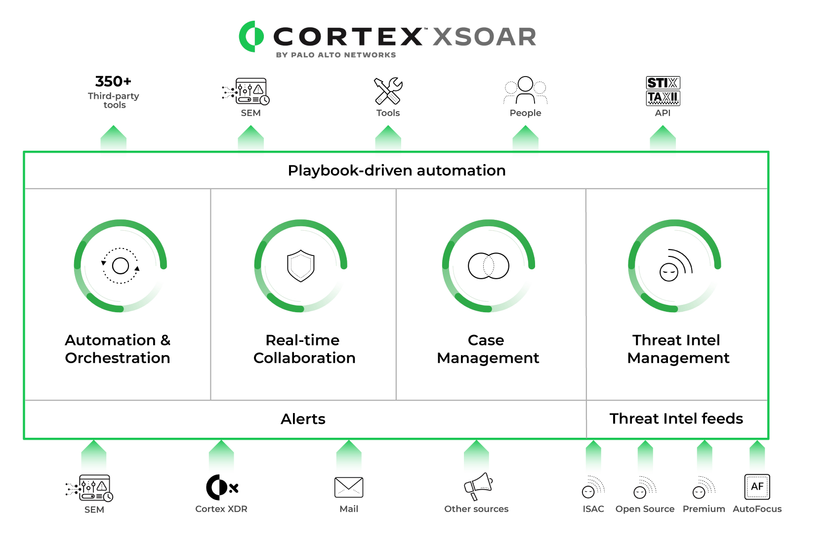 Cortex