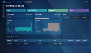 Memverge Memory Machine Dashboard Screenshot