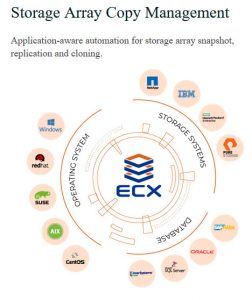 Catalogic Ecx Scheme