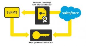 Stormagic Salesforce Shield