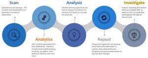 Index Engines Cybersense Process