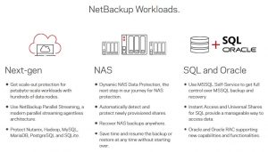 Veritas Netbackup Workloads