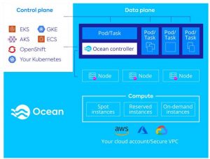 Netapp Spot Ocean assess